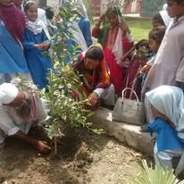 Green Seekers Activity